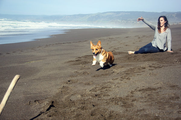 Schedule a Photoshoot with Your Pet + A Special Discount!