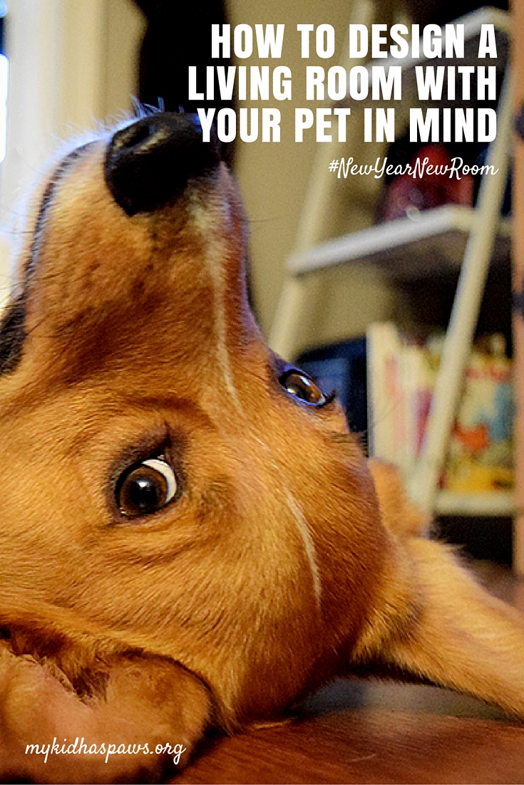 How to Design a Living Room with your pet in Mind #ad