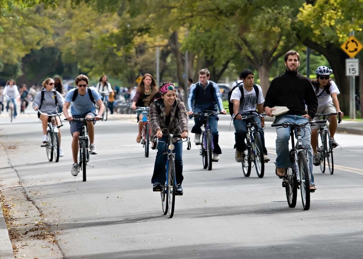 UC_Davis_3
