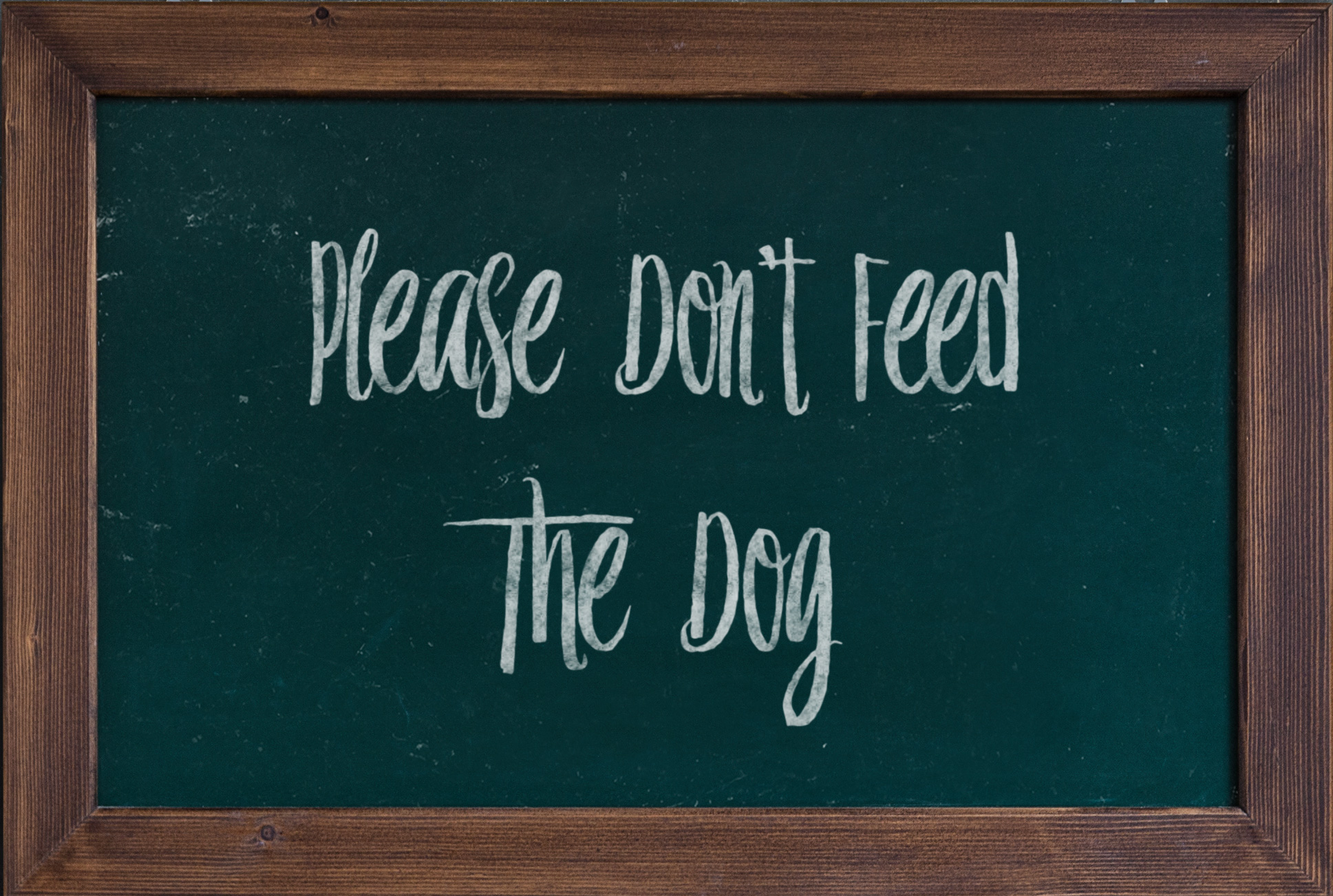 Creative Ways to Protect Your Pets from Poisons