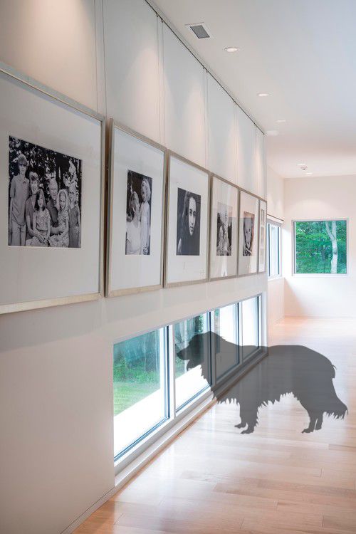 Pet-friendly renovation