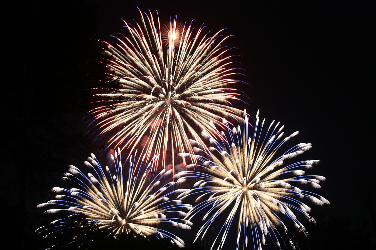 Preparing Your Pet for the 4th of July