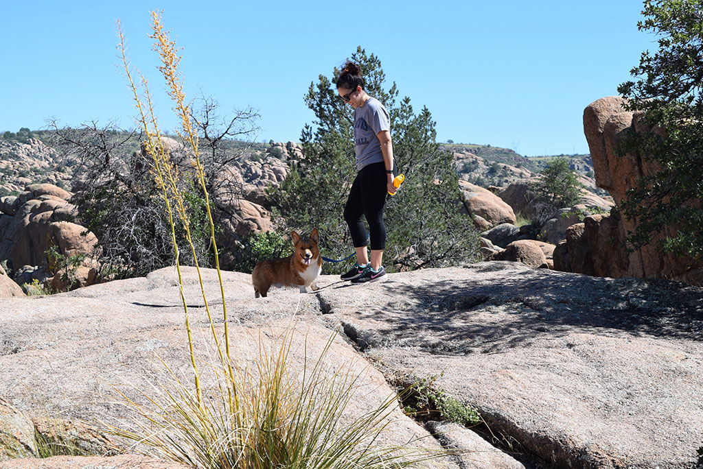 Southwest Road Trip with Your Dog