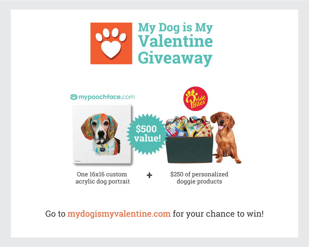 http://www.mypoochface.com/valentine-giveaway/