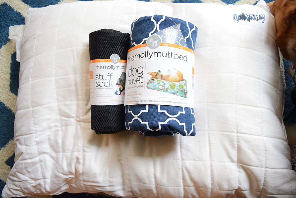 Molly Mutt: The Dog Bed that Fits Your Needs