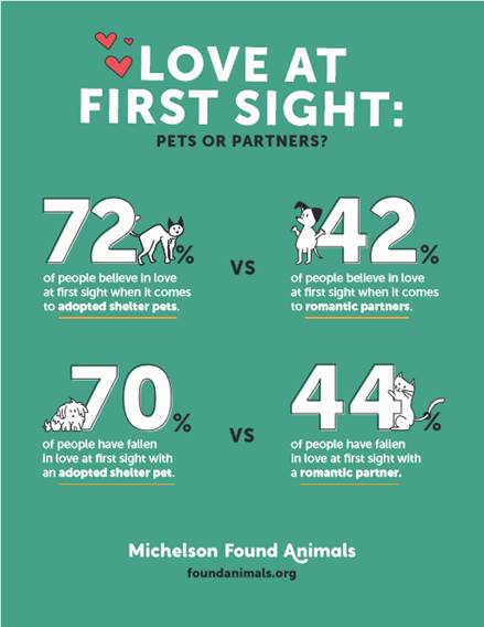 National Adopt a Shelter Pet Day!
