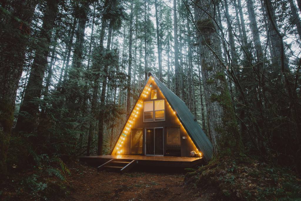 9 Dog-Friendly West Coast Airbnbs We Want to Visit!